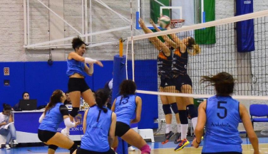 Universitat D´Alacant supera a AVG 2008